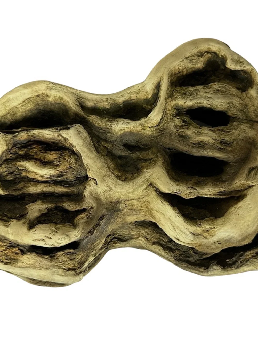 Natural Driftwood Sculpture - Organic Wood Accent